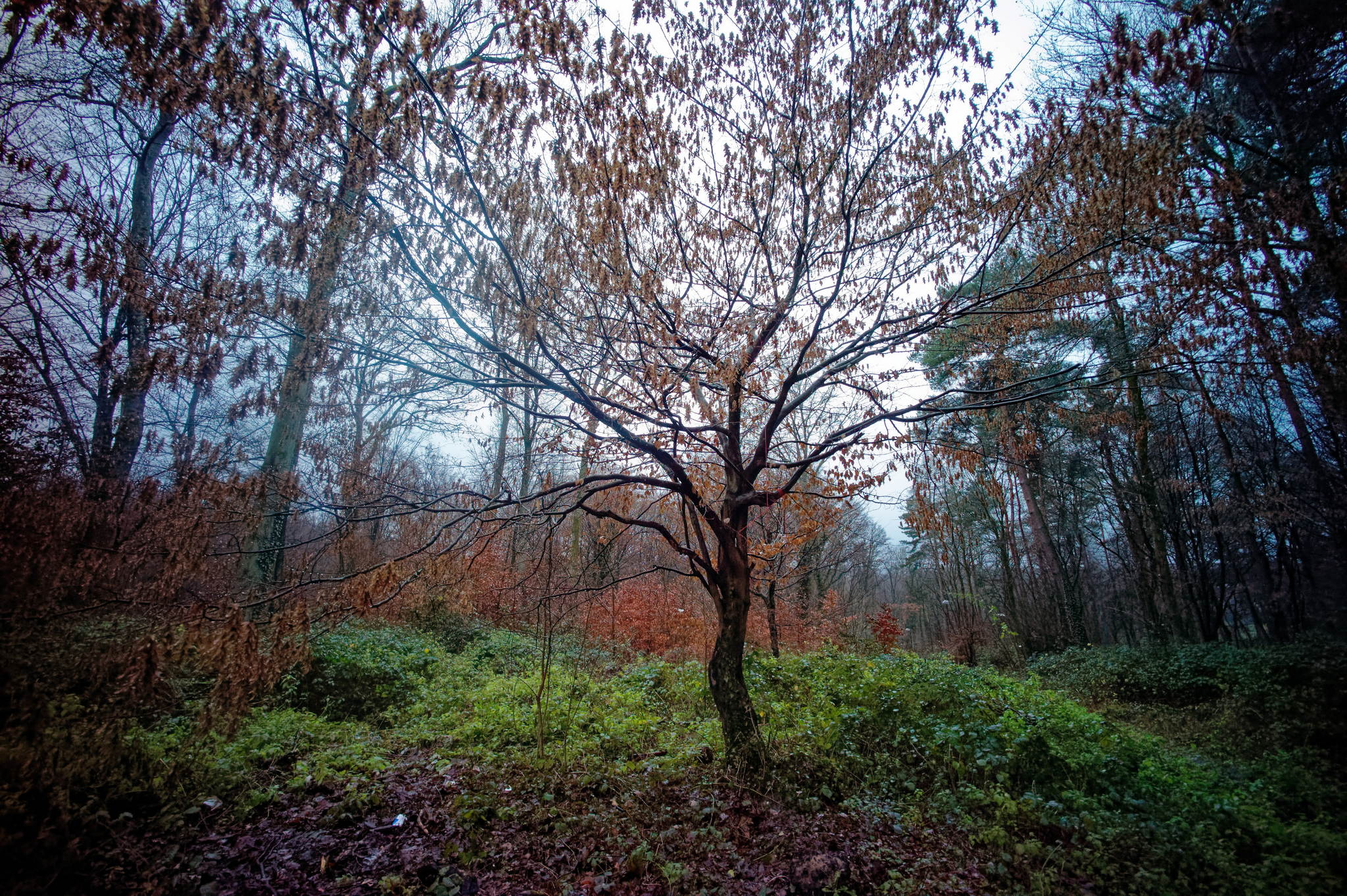 L4340703 dxo 49207532022 o