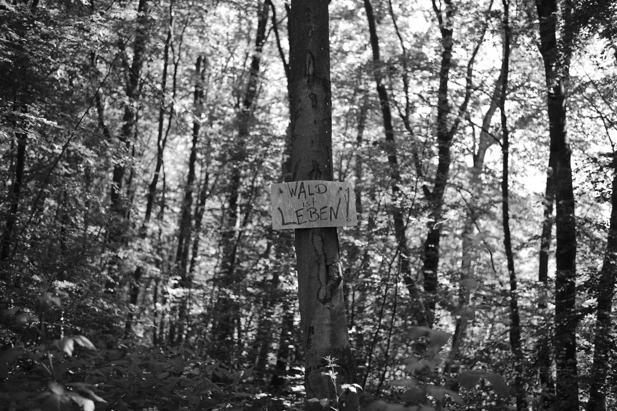 M10 1390 51250884259 o