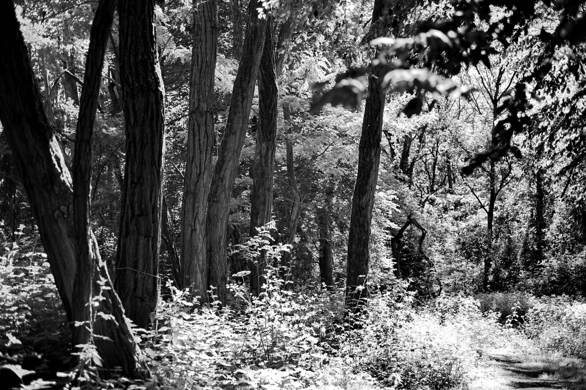 M10 1421 51250328493 o