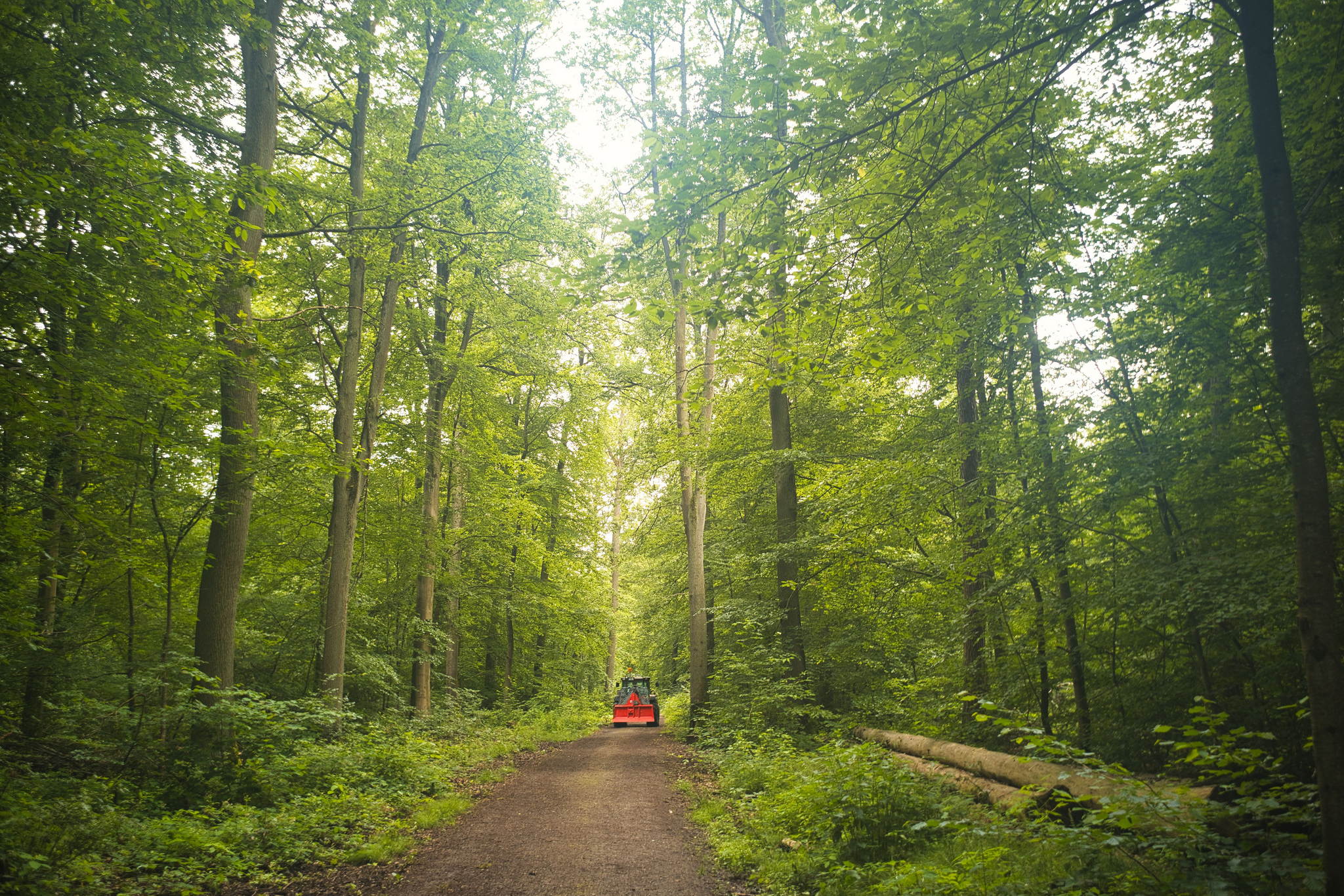 M10 summaron 51270740577 o