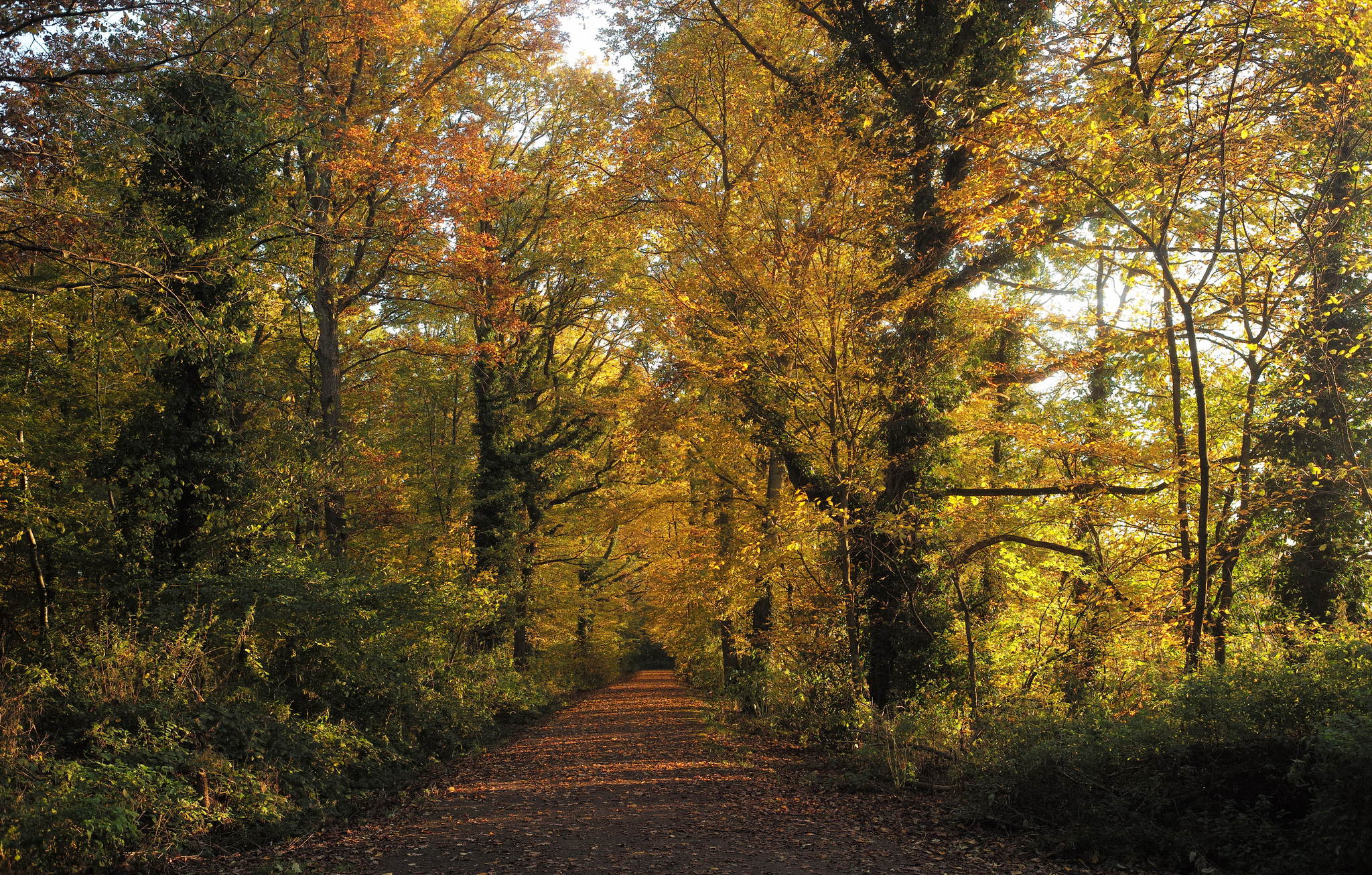 M2402467 51671433845 o