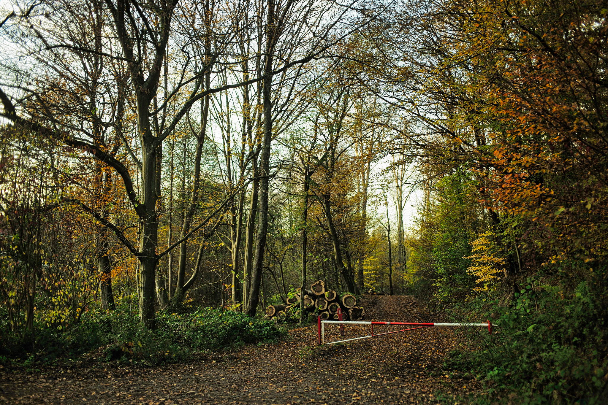 M2402628 51669756732 o