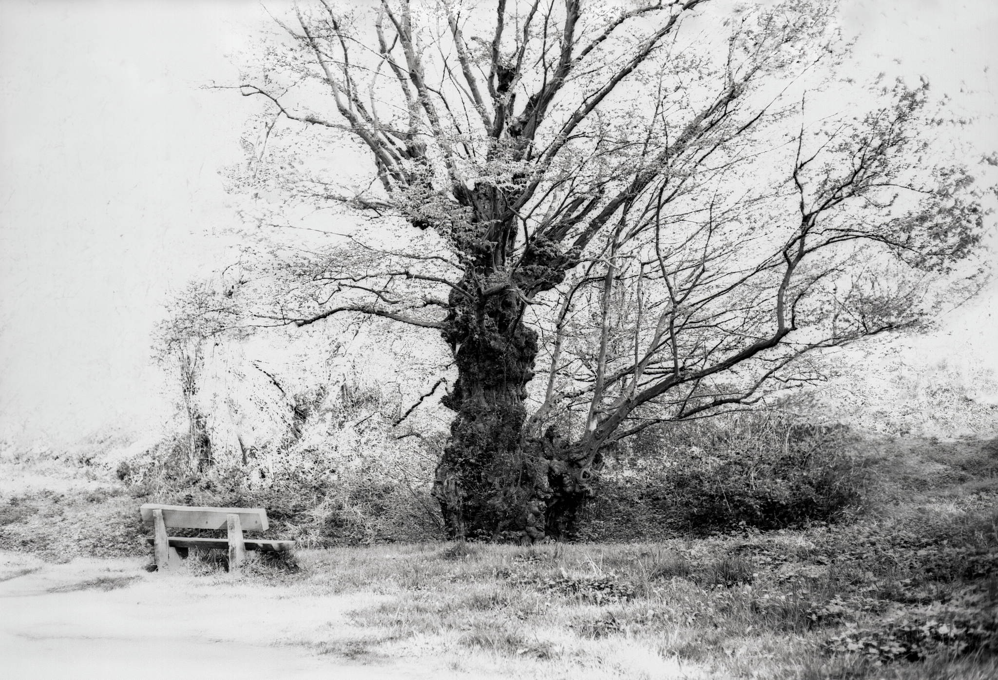 M6 elmar135 technicalpan 33 46929152254 o