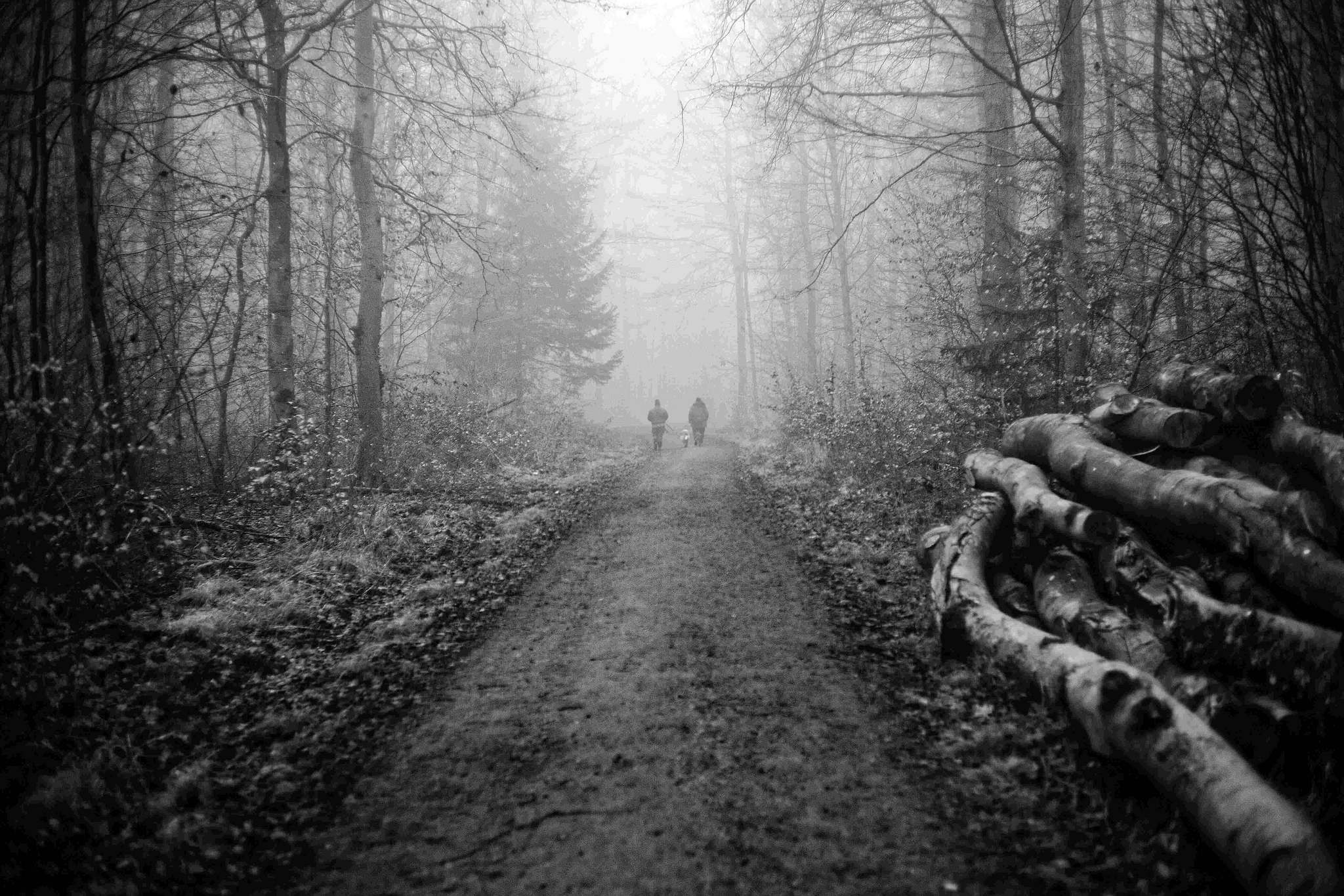 Nebel 04 51842869783 o