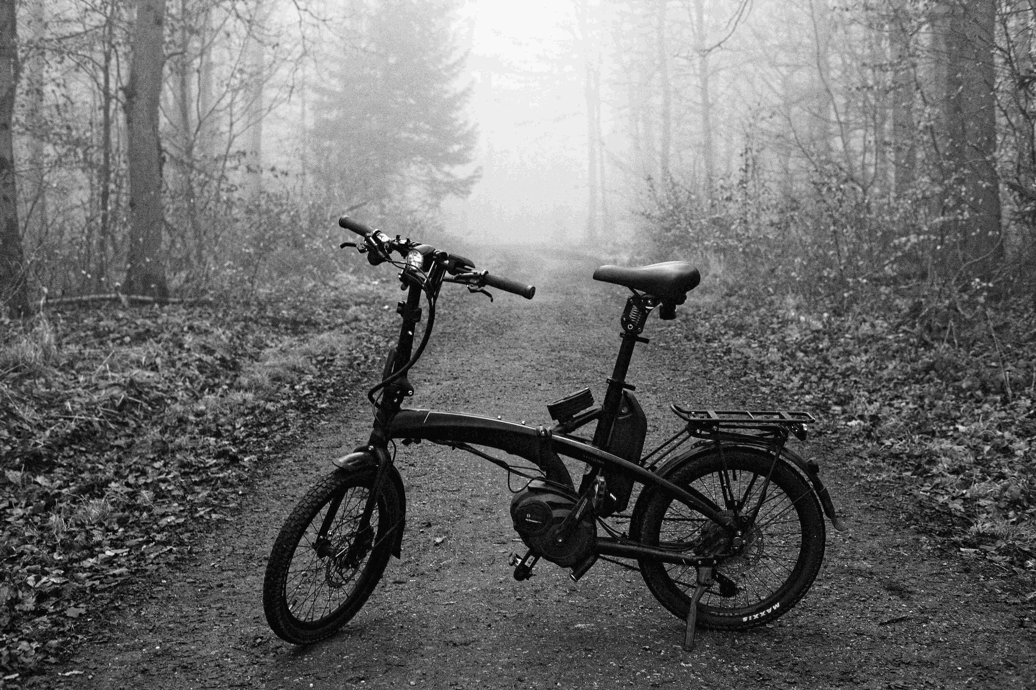 Nebel 07 51841819872 o