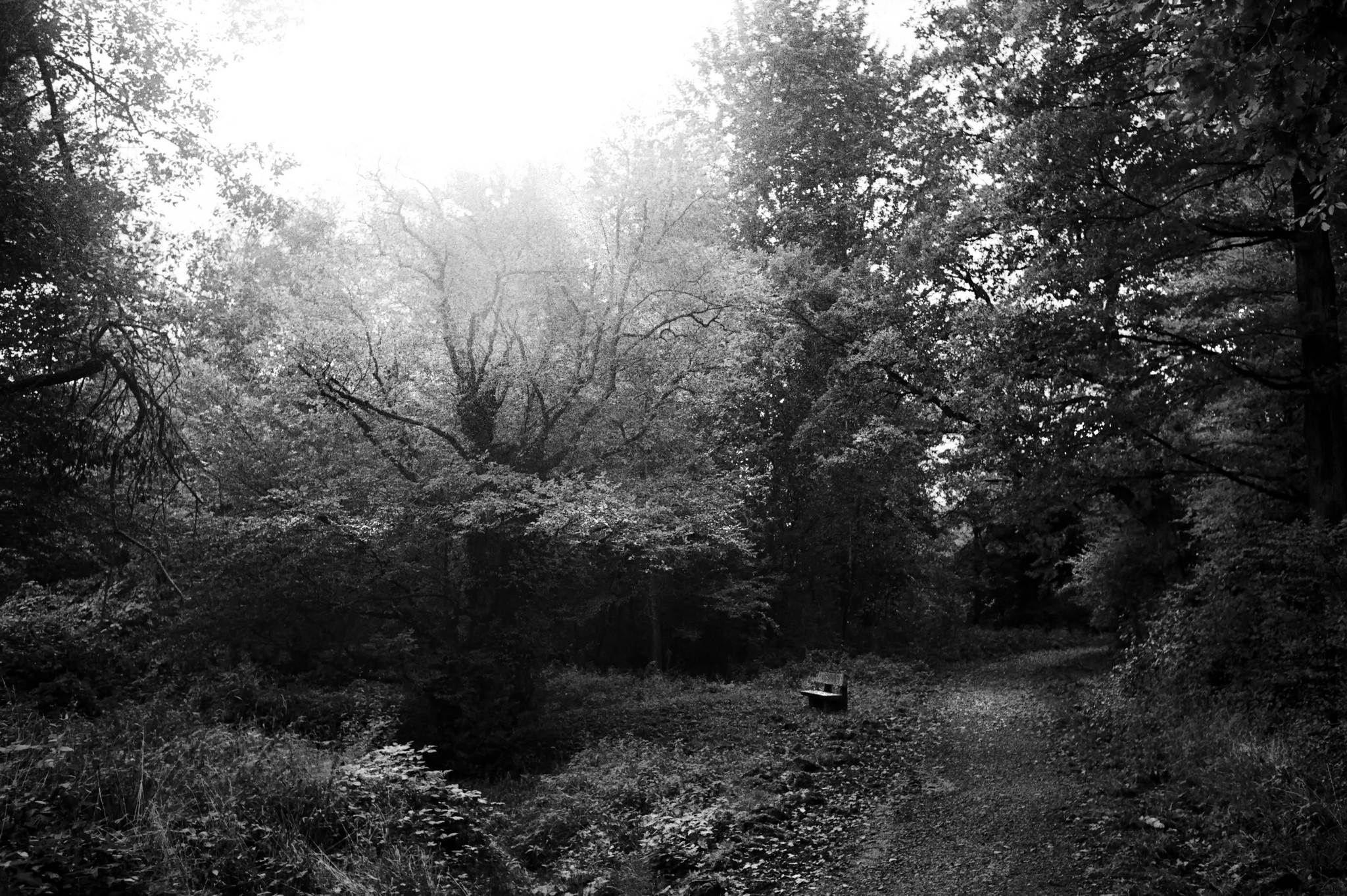 Nimm dir zeit 37566309236 o