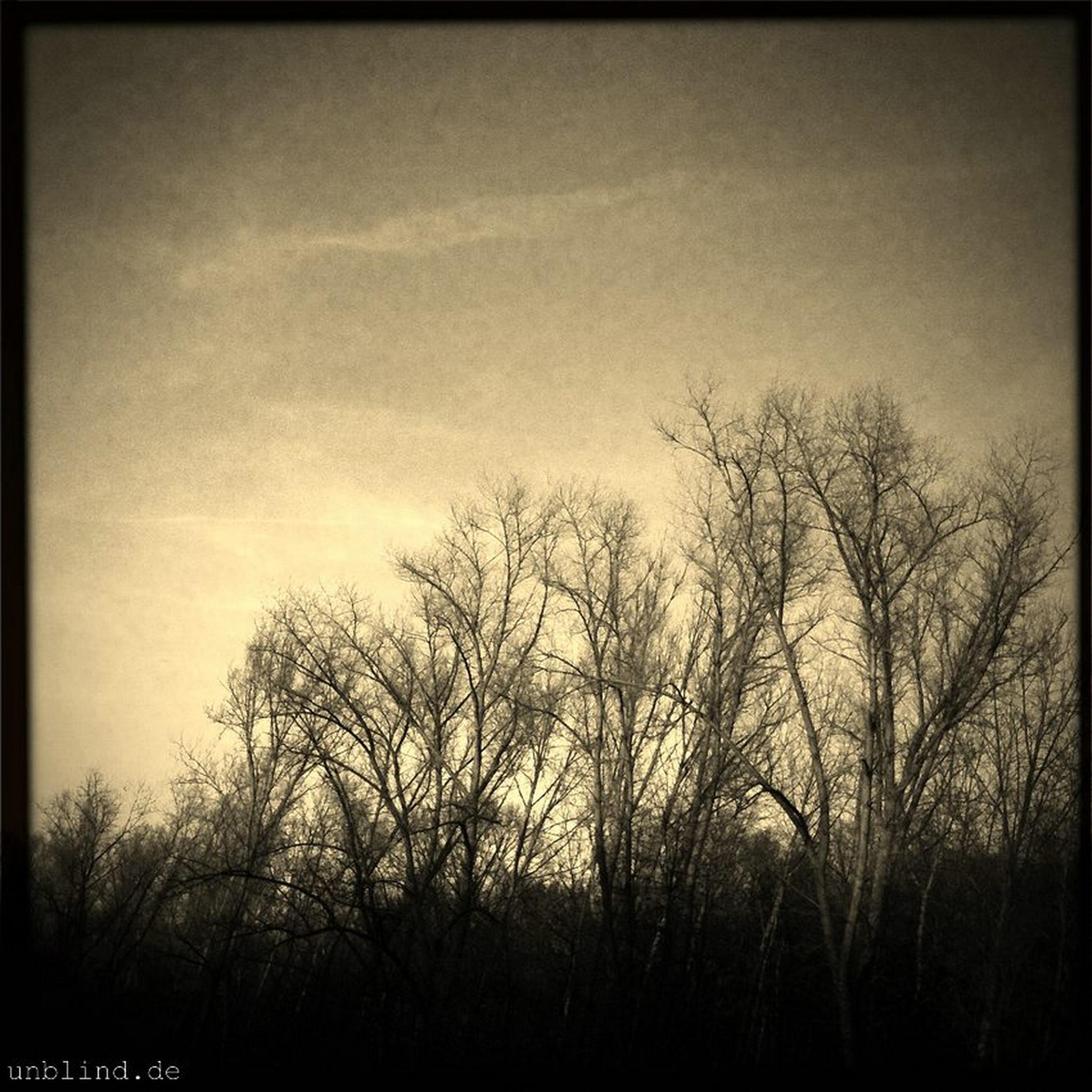 Winterwald 6709359745 o