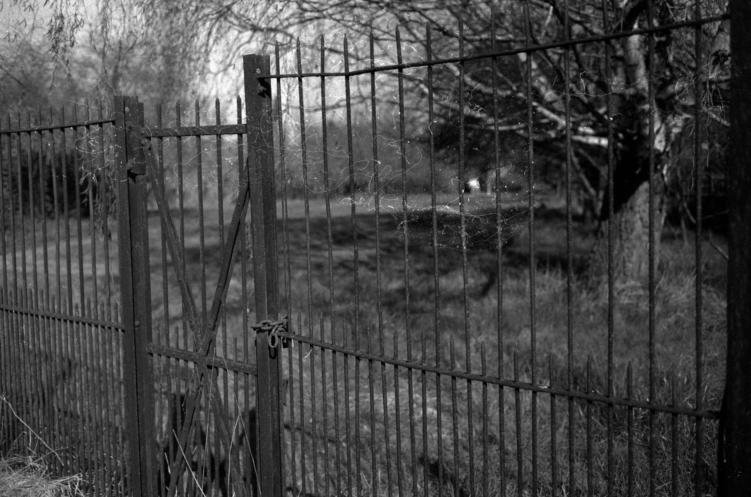 2026 03 09 21 06 0003