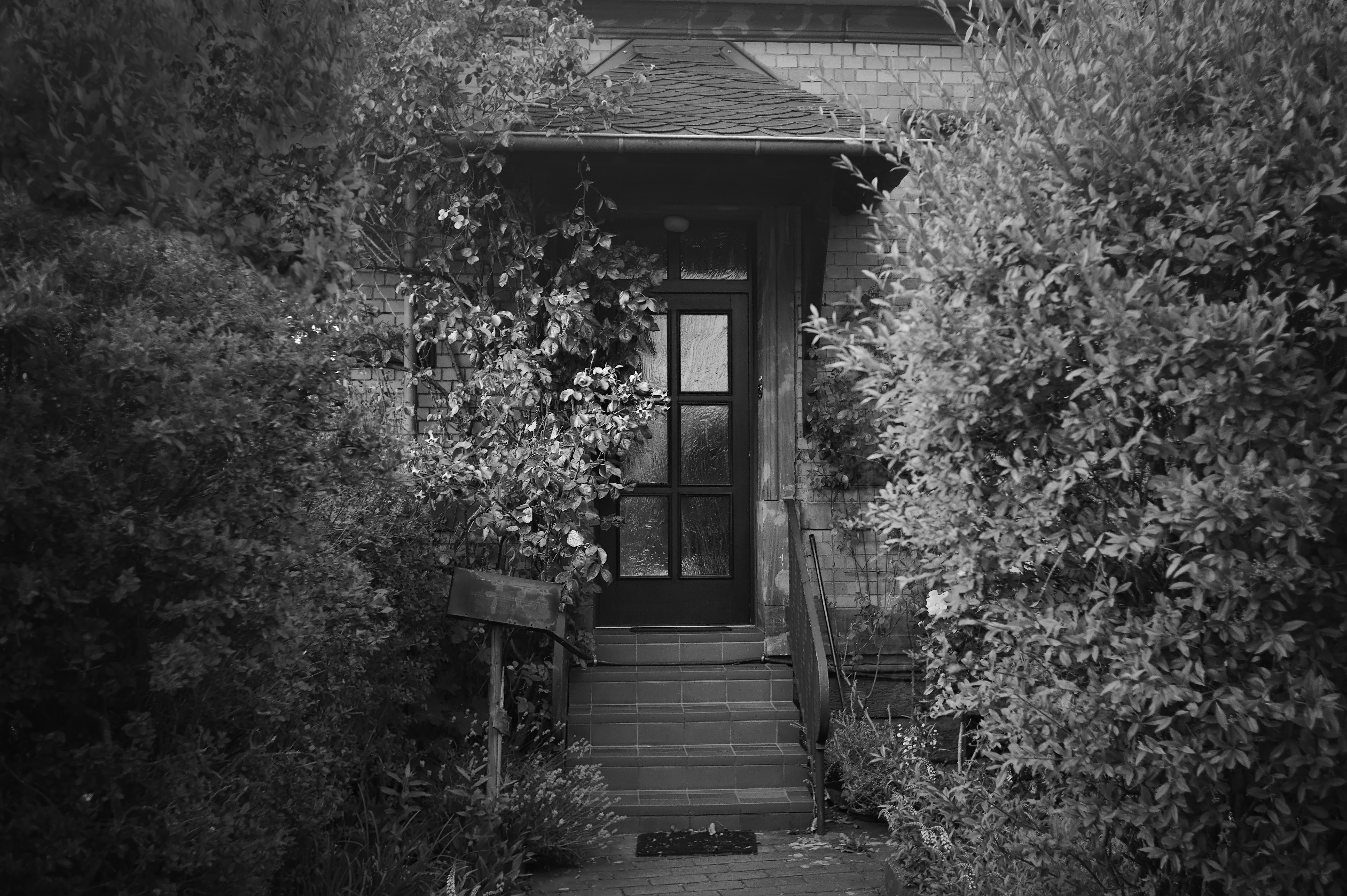 Leica mm summaron 8 50053065463 o